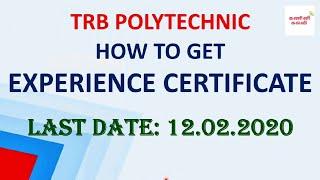 TRB Polytechnic How to get Experience Certificate? | TRB Polytechnic Latest Update/Latest News