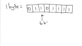 What is a bit and a byte in Java