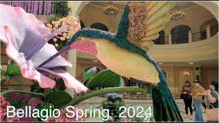 The Bellagio Spring 2024, Las Vegas. Conservatory  4K WALK AROUND