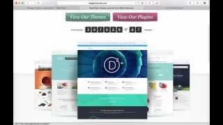 Installing Divi Theme for WordPress