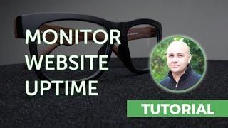 How to Monitor Your WordPress Website Uptime For Free