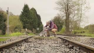 Level crossings - Dog walker in danger