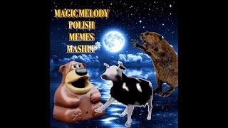 Magic Melody Polish Memes Mashup #remix  #mashup #memes