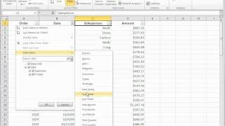 In Excel: Filter data by using an AutoFilter