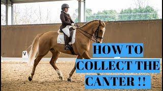 HOW TO COLLECT YOUR CANTER