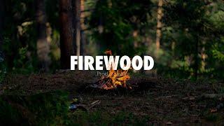 (FREE) Acoustic Guitar Country Type Beat - "Firewood" - Morgan Wallen Type Beat 2023 [no drums]