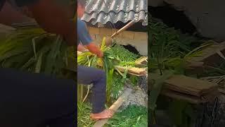 Ide cerdas sederhana Petani kreatif membuat alat sederhana untuk memotong rumput #shorts