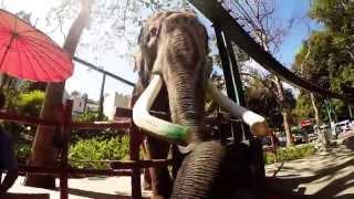 Thailand Trip 2015 - Bangkok - Chiang Mai - Phuket - Krabi and back ... GoPro Hero3+