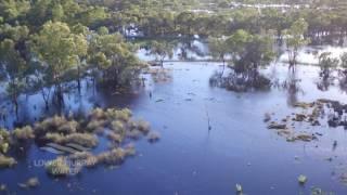 Murray River flood footage