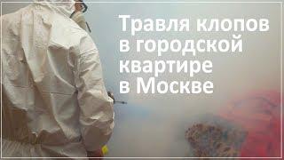 Травля клопов в городской квартире (холодный и горячий туманы)