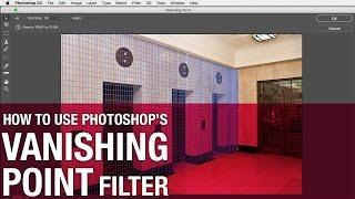 How to use the Vanishing Point filter