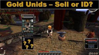 When to Identify or Sell Gold Unids!? Guild Wars Money Maker!