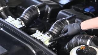 How to Clean your Engine Bay, cleaning engine demonstration by Auto Obsessed