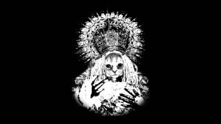 Mr.Kitty - ††