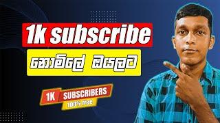 How to Grow 0 to 1000 Subscribers in Youtube  Youtube Course Sinhala  youtube sri lanka