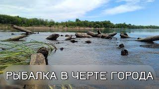 Рыбалка в День рыбака