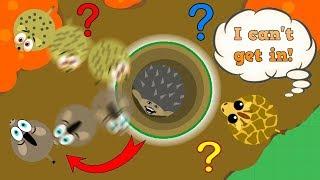 HEDGEHOG NEW GLITCH // THE BEST HEDGEHOG TROLLING EVER! // (Mope.io funny moments)