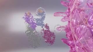 Coronavirus: Animation of Virus Transmission in Humans