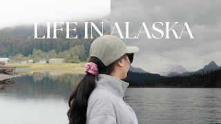 seldovia, alaska — one of the most beautiful towns i’ve been to • wildlife tour in kachemak bay 