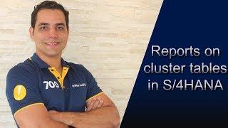 Reports on cluster tables in S/4HANA