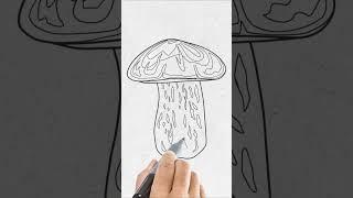 DRAWING BOLETUS MUSHROOM