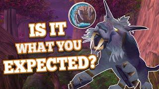 DRUID in Classic WoW: Is It What You Expected?