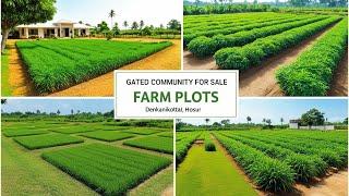 farm land for sale in hosur - managed farmland near bangalore