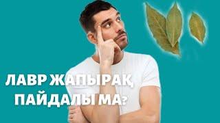 Лавр жапырағының ағзаға пайдасы?