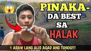 Paano Gamutin ang Halak ng Manok | Linyada ng Mamay