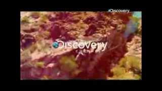 Цикл программ 'Выживание' на Discovery Channel.