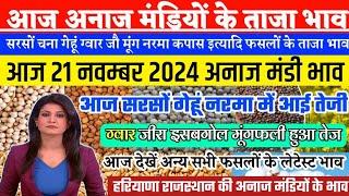 अनाज मंडी भाव| 21 Nov 2024 सरसों जीरा इसबगोल गेहूं नरमा में तेजी| ग्वार में बदलाव| anaj mandi bhav,