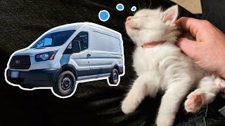 Selling the van - Eclipse road trip 9, FINAL EPISODE (with kittens)