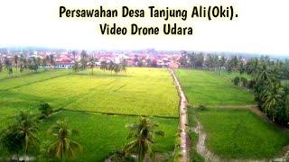 Desa Tanjung ali | Ogan komering Ilir OKI | video drone udara persawahan