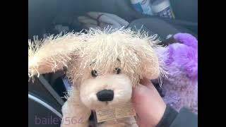 Bailey564 thrifting for webkinz ; haul 1