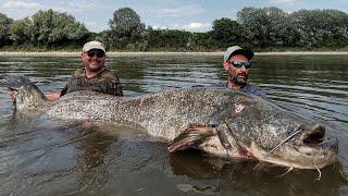 Pesce Siluro Record pescato nel fiume Po by Yuri Grisendi