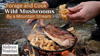 Forage and Cook Wild Mushrooms by Mountain Stream