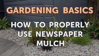 How to Properly Use Newspaper Mulch