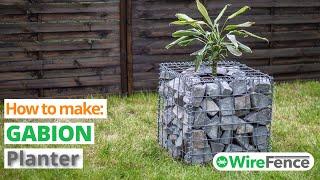 How to Make a Gabion Planter (Step by Step Tutorial) | WireFence