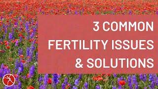 3 Common Fertility Issues and Natural Solutions