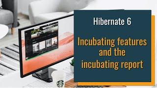 Incubating Features in Hibernate 6