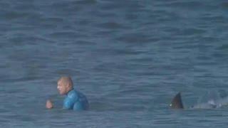 Pro surfer fights off attacking shark