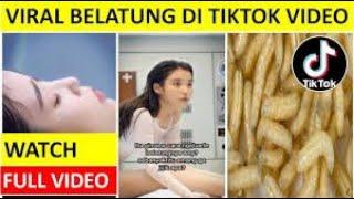 Belatung Viral Di Tiktok - belatung tiktok video - belatung video viral