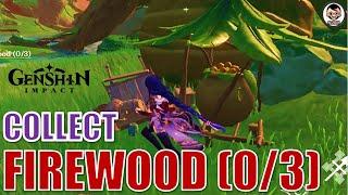 Collect firewood (0/3) | Genshin Impact