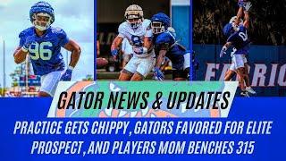 Gators Practice GETS CHIPPY, Injury UPDATES, Gator insider REVEALS more new from Practice & MORE