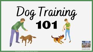 Dog Training 101 | Peabody Institute Library, Danvers [cc]