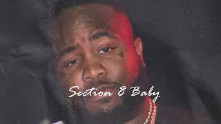 (FREE) Mo3 Type Beat "Section 8 Baby"