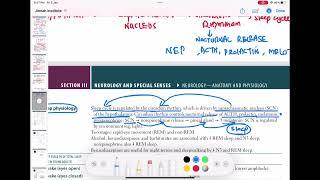 Sleep physiology #lecture 1 #neurology 28 | First Aid USMLE Step 1 in Urdu/Hindi |