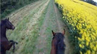 Waddesdon Sponsored Ride - Helmet Cam