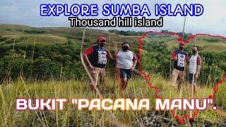 Explore Pulau Sumba.Hill Sumba Island|| Bukit PACANA MANU.