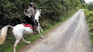 Hoy cambiamos de caballo. Esti galopa con Gada.